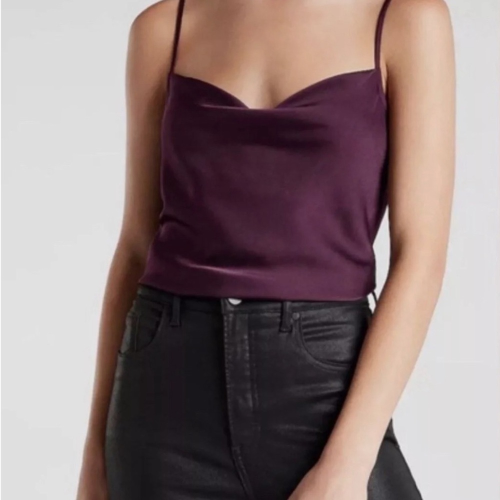 Express elegant Plum Spaghetti Strap Top